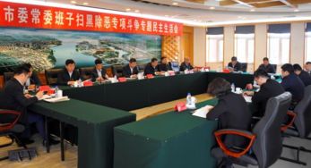 掃黑除惡 吉林亮劍 松原軟件銷售行業整治行動